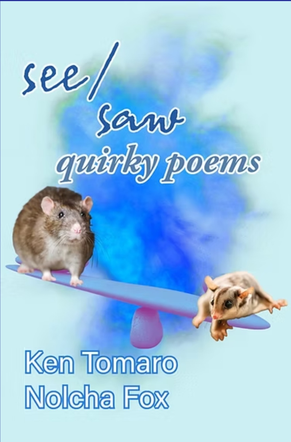 See/Saw: Quirky Poems Cover